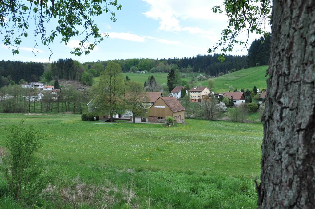 Ferienwohnungen Zur Muehle Mossautal Extérieur photo